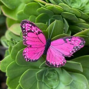 Meet your Posher, Logan